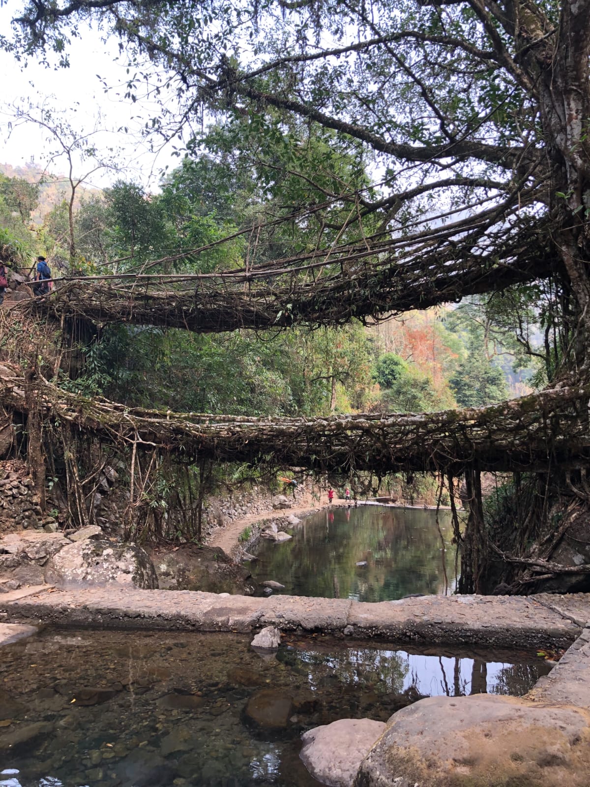 Meghalaya